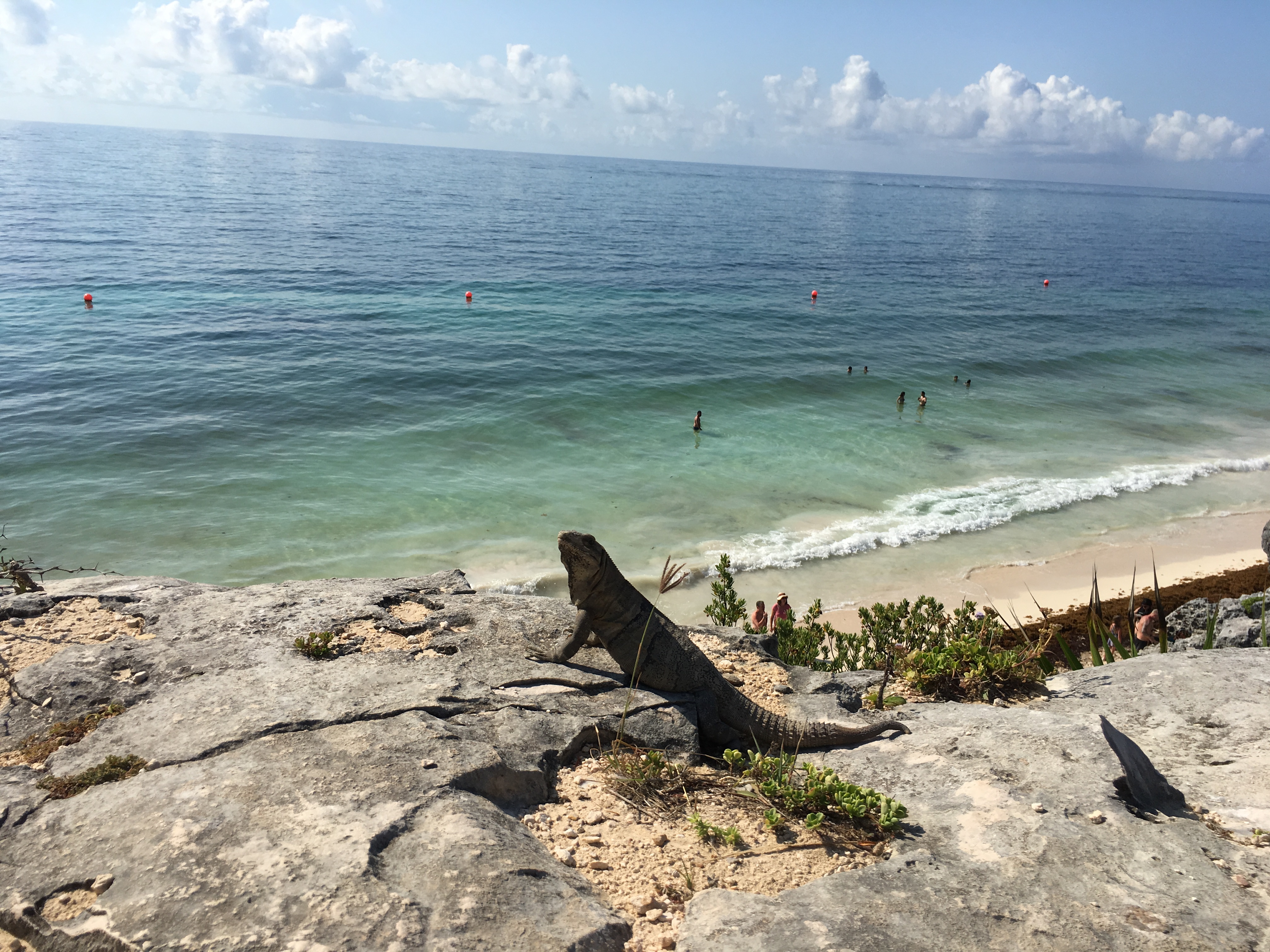 Mehiko 2018 – Tulum aka Stinky waters
